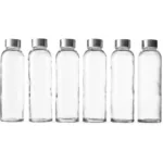 Glass Water Bottles with Lids
