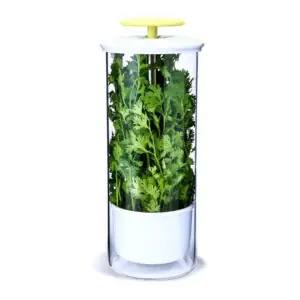 XXL Herb Keeper and Herb Saver