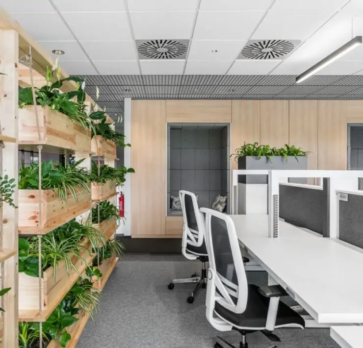 best plants for office with no windows