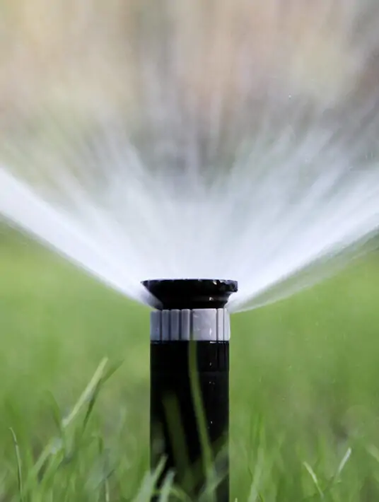 best watering times for grass