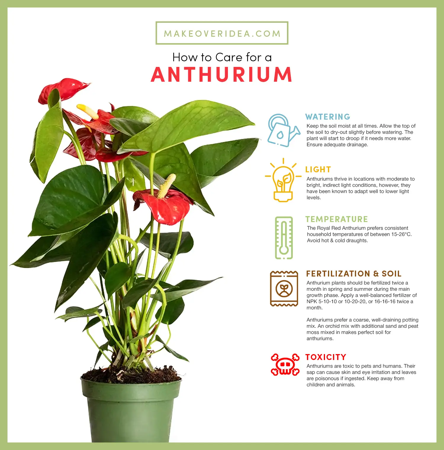 how to care for Anthurium chart requirements